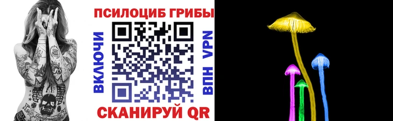 Псилоцибиновые грибы Psilocybe  купить наркотики цена  Камышин 